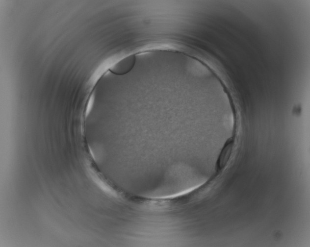 X0000113180858200910161330