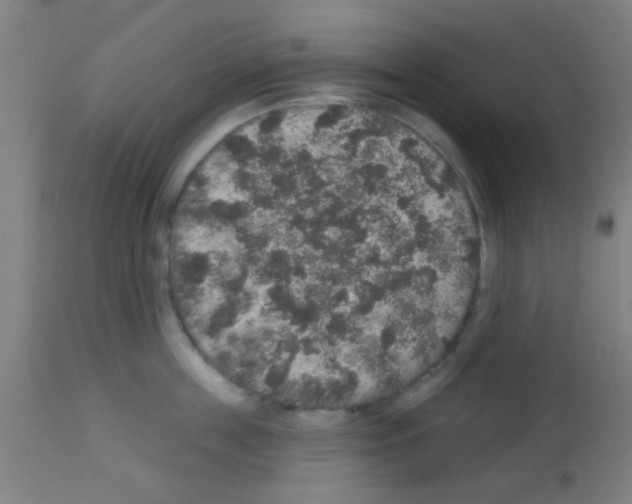 X0000113180859200910161330