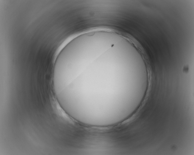 X0000113180860200910161330