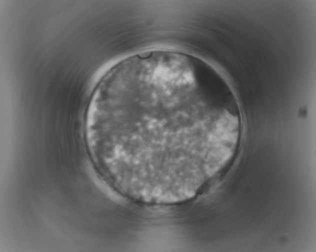 X0000113180862200910161330