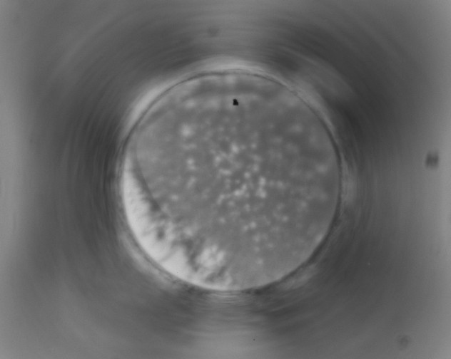 X0000113180863200910161330