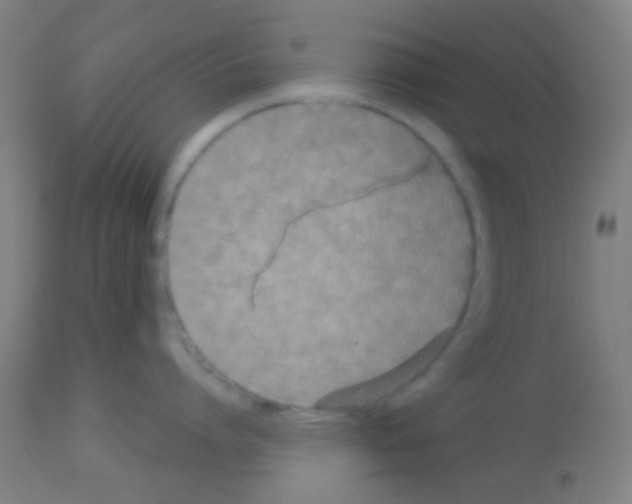 X0000113180864200910161330