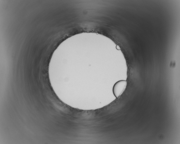 X0000113180865200910161329