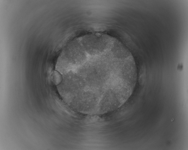X0000113180866200910161329