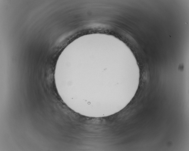 X0000113180869200910161329