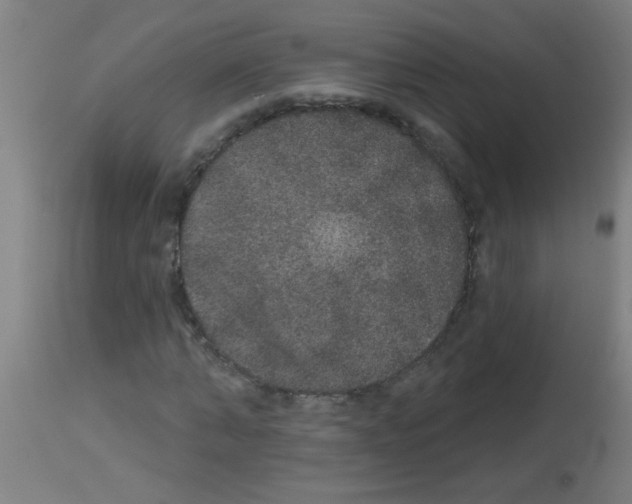X0000113180870200910161329
