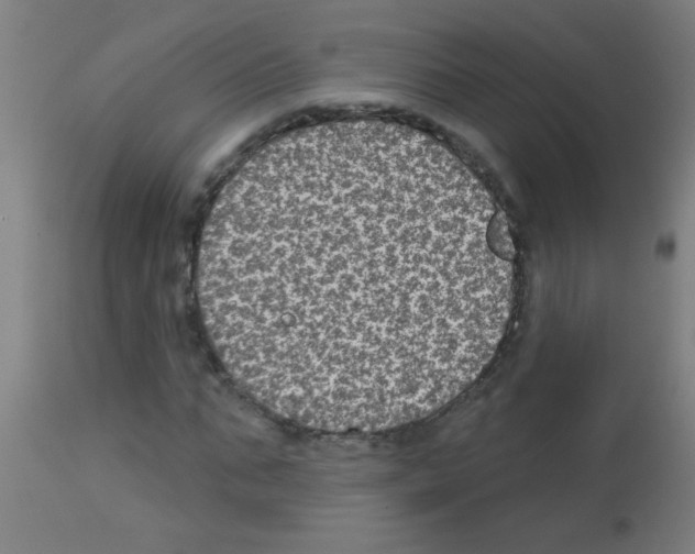 X0000113180871200910161329