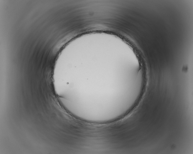 X0000113180873200910161329