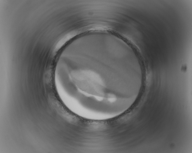 X0000113180874200910161329