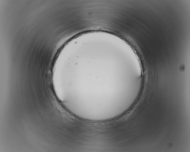X0000113180876200910161329