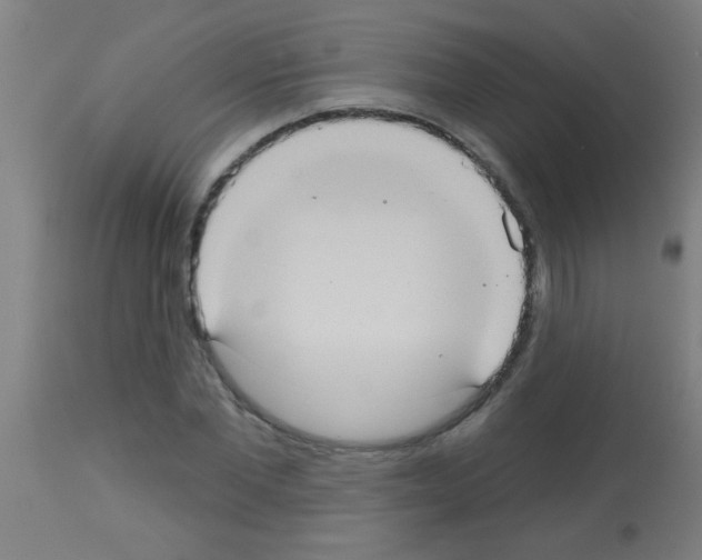 X0000113180877200910161329