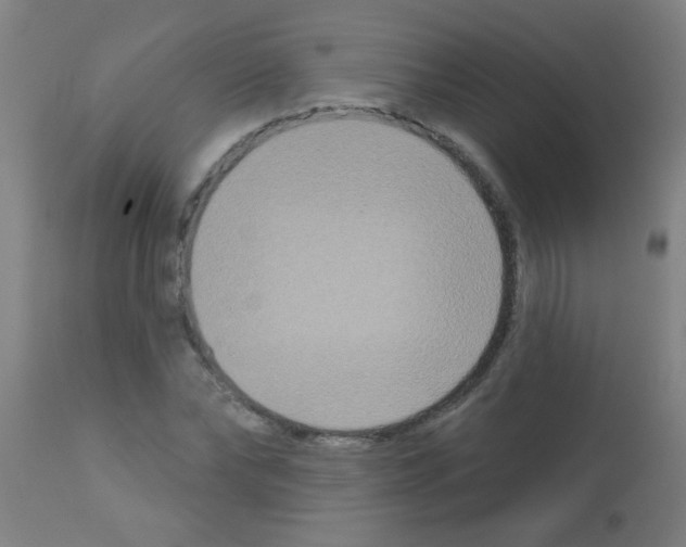 X0000113180878200910161329