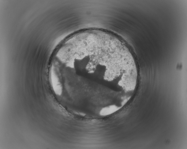 X0000113180879200910161329