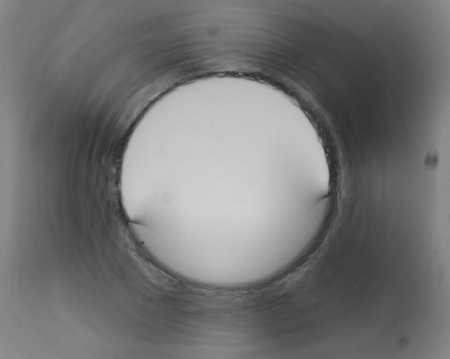 X0000113180881200910161329