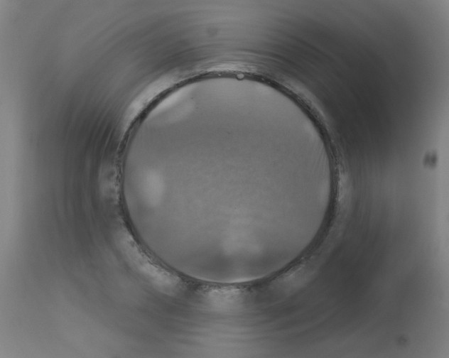 X0000113180882200910161329