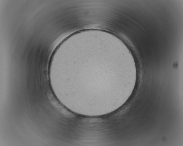 X0000113180884200910161329