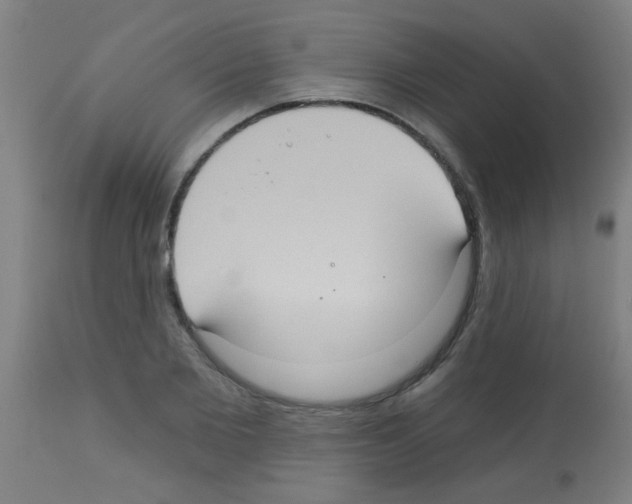 X0000113180885200910161329