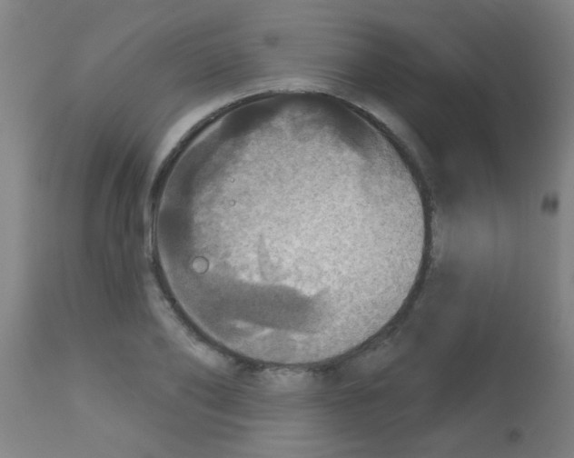 X0000113180886200910161329