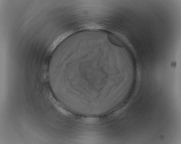 X0000113180889200910161329