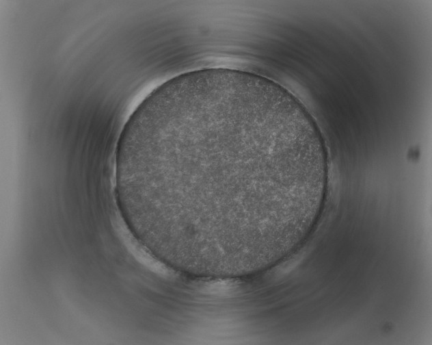 X0000113180891200910161329