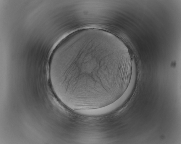 X0000113180892200910161329