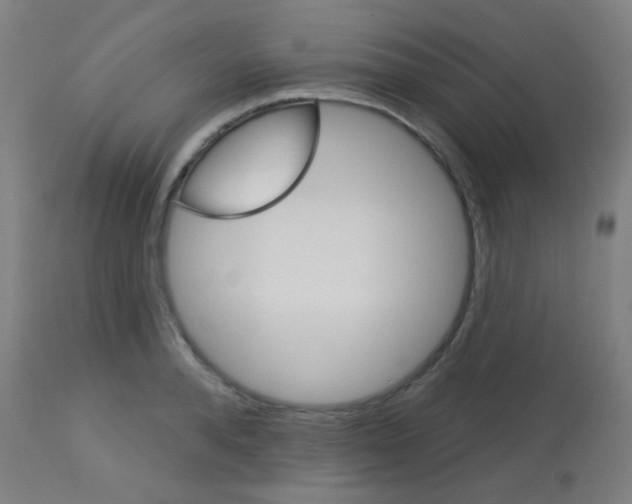 X0000113180896200910161329