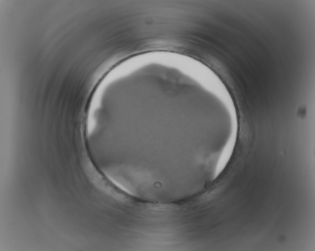 X0000113180899200910161329