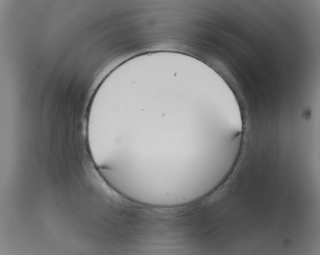 X0000113180900200910161329