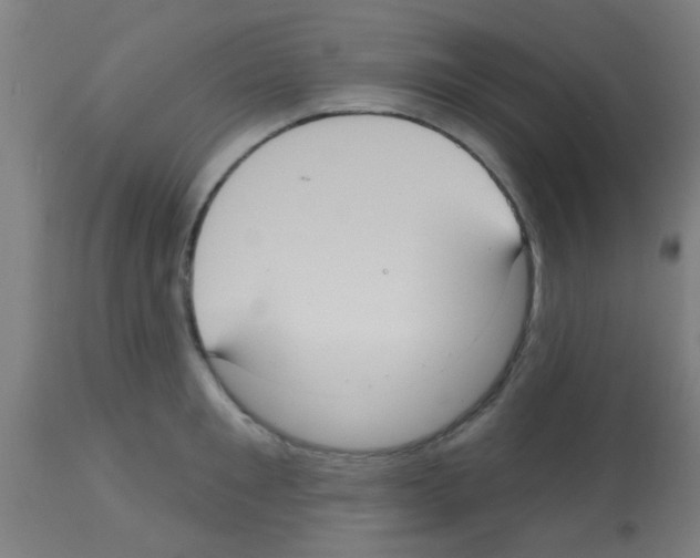 X0000113180901200910161329