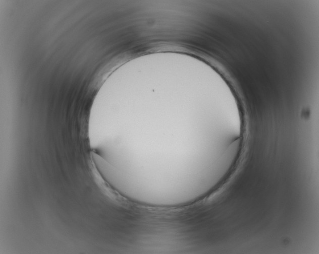 X0000113180905200910161329