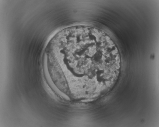 X0000113180907200910161329