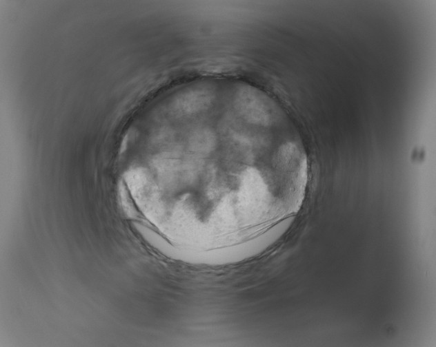 X0000113180913200910161328