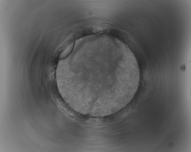 X0000113180914200910161328