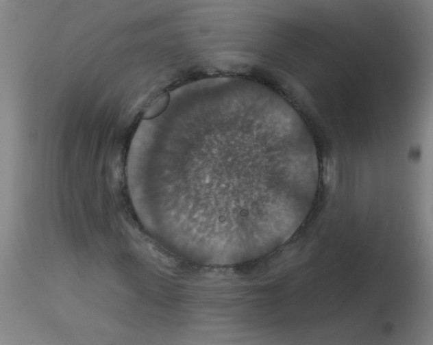 X0000113180915200910161328