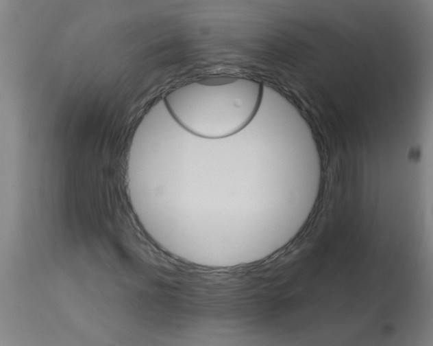 X0000113180916200910161328