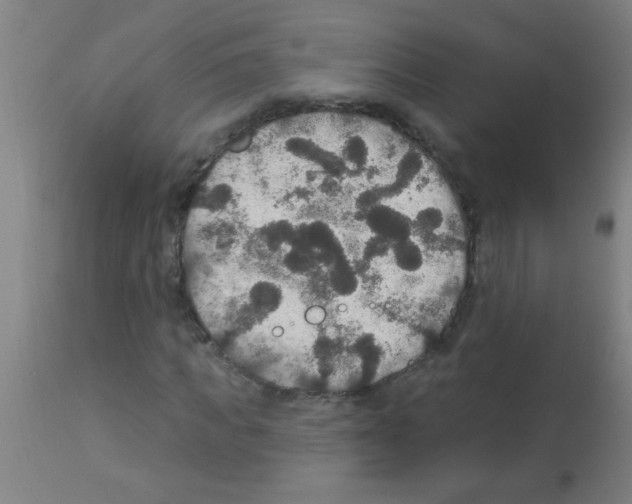 X0000113180917200910161328