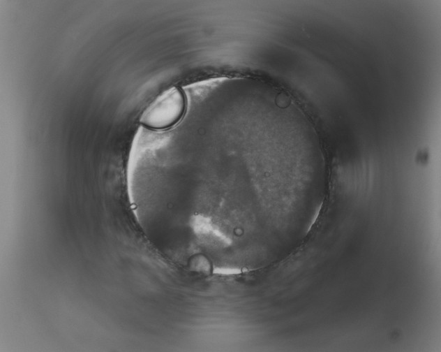 X0000113180918200910161328
