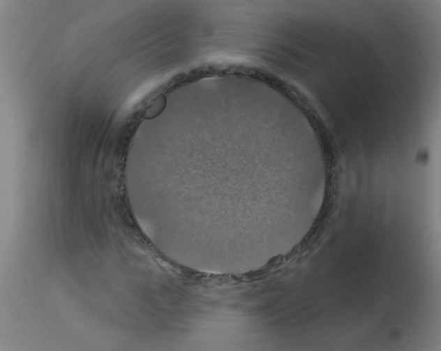 X0000113180919200910161328
