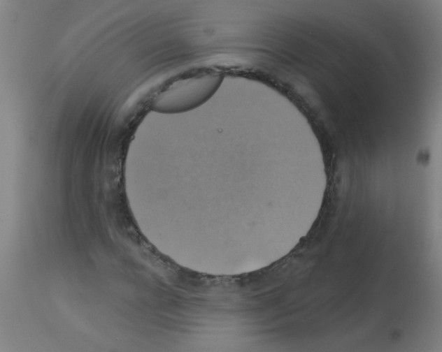 X0000113180920200910161328