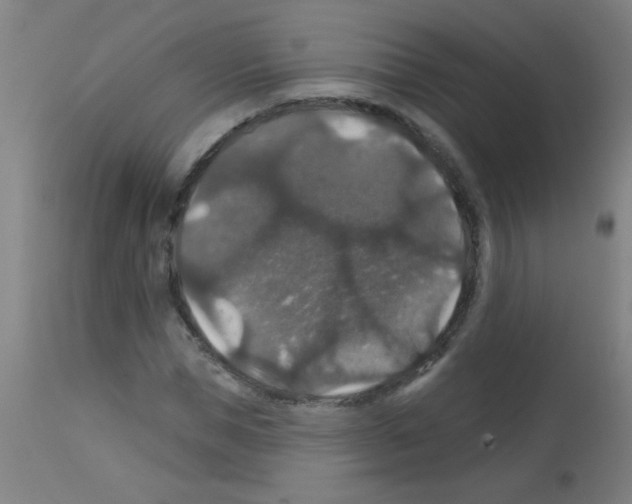 X0000113180921200910161328