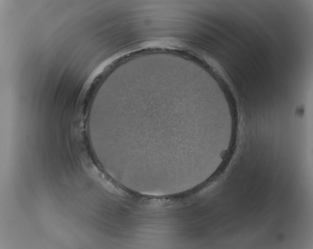 X0000113180923200910161328