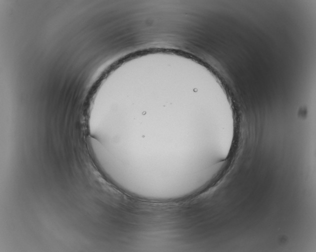 X0000113180926200910161328