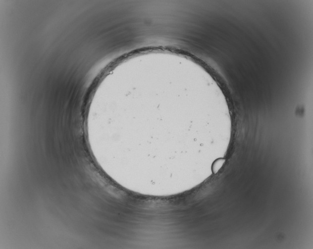 X0000113180927200910161328