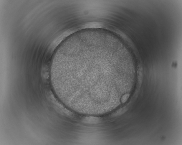 X0000113180929200910161328