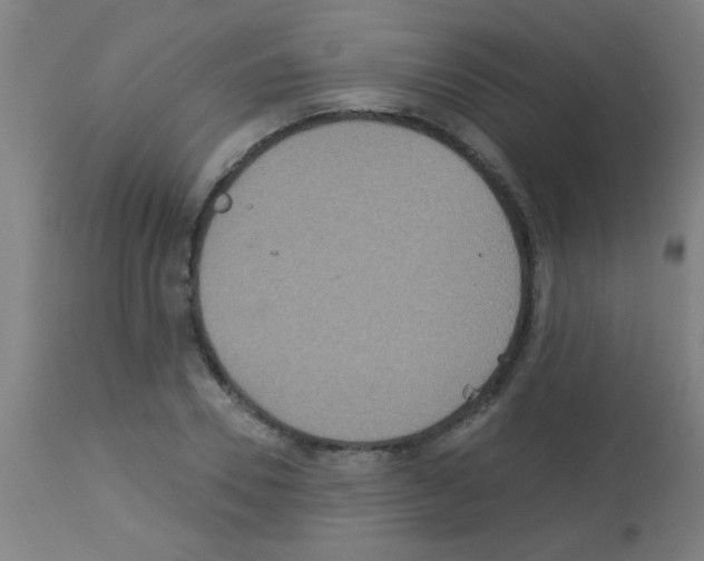 X0000113180930200910161328