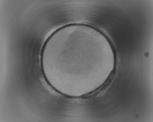 X0000113180932200910161328