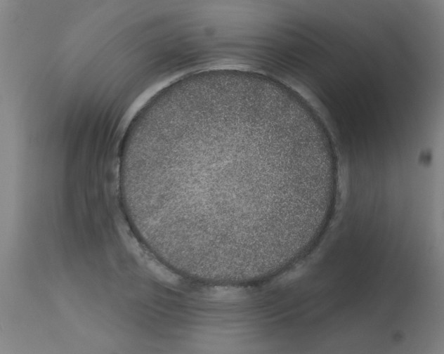 X0000113180933200910161328