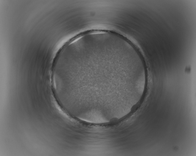 X0000113180935200910161328