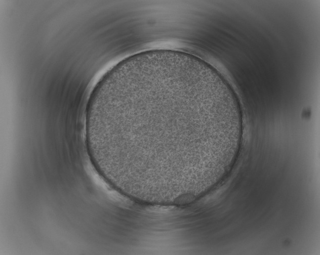 X0000113180939200910161328