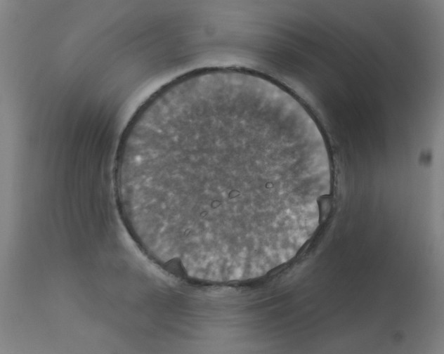 X0000113180943200910161328